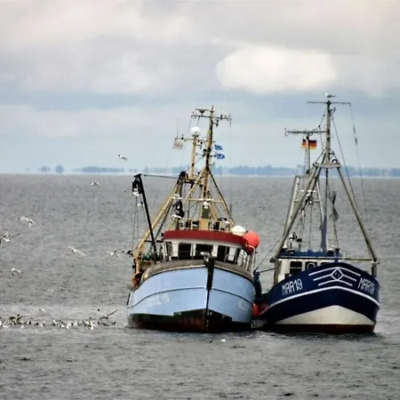 Tern In The Molenhuus 卡珀尔恩