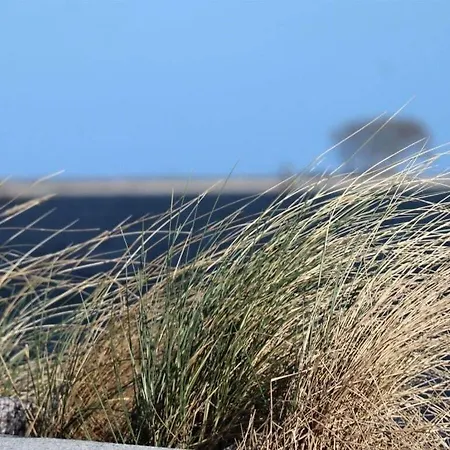 Tern In The Molenhuus *