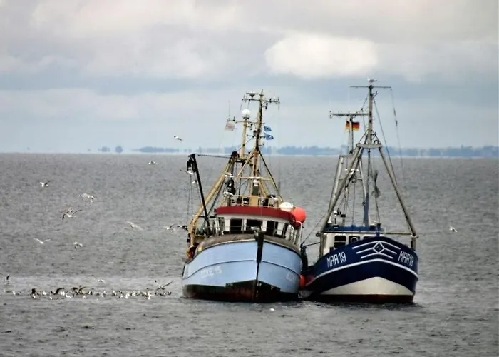 Tern In The Molenhuus Kappeln