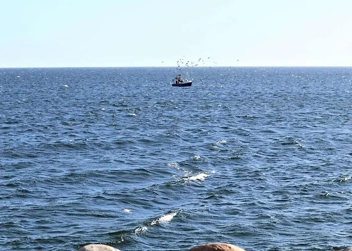 Tern In The Molenhuus Nyaraló *